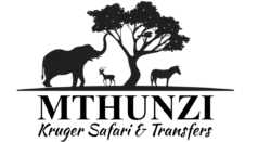 Mthunzi Kruger Park Safari and Transfers logo
