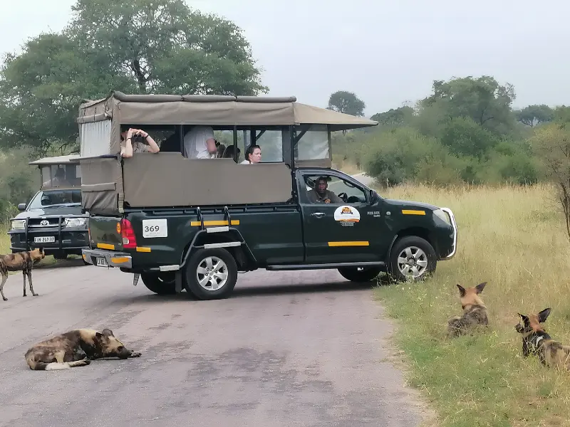 Mthunzi Kruger Safari and Transfers Route Mthunzi Kruger Safari and Transfers Route